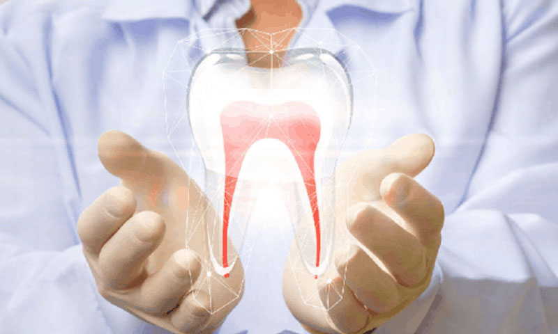 Endodontics 